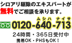 シロアリ駆除のエキスパートが無料でご相談を承ります。0120-640-713（ムシハナイサ）